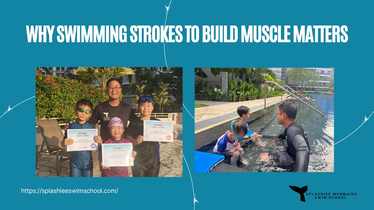 Why Swimming Strokes To Build Muscle Matters